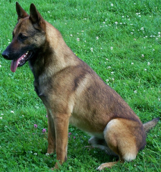 Ares du Domaine de la Rocheliere